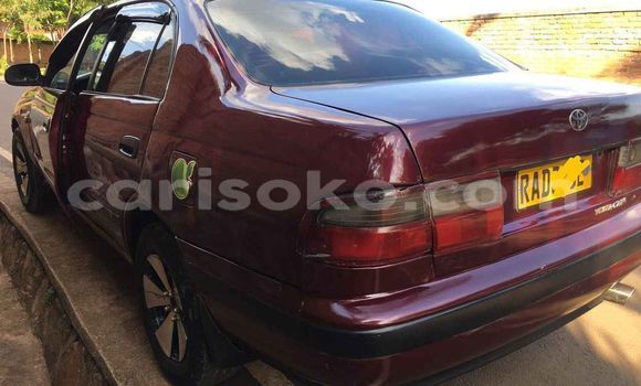 Buy Used Toyota Carina Red Car in Kigali in Rwanda Buy Used Toyota Carina Red Car in Kigali in Rwanda