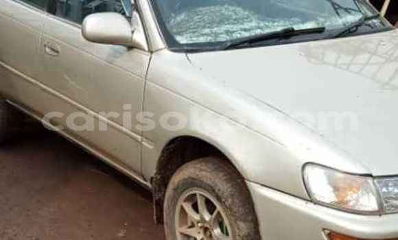 Buy Used Toyota Corolla Silver Car in Kigali in Rwanda Buy Used Toyota Corolla Silver Car in Kigali in Rwanda