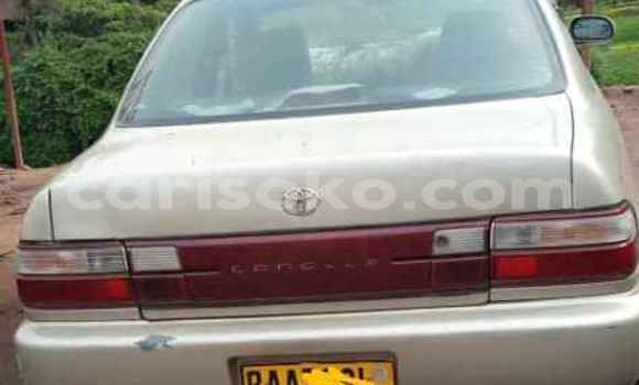 Buy Used Toyota Corolla Silver Car in Kigali in Rwanda Buy Used Toyota Corolla Silver Car in Kigali in Rwanda