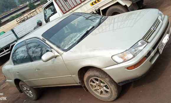 Buy Used Toyota Corolla Silver Car in Kigali in Rwanda Buy Used Toyota Corolla Silver Car in Kigali in Rwanda