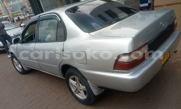 Buy Used Toyota Corolla Silver Car in Kigali in Rwanda Buy Used Toyota Corolla Silver Car in Kigali in Rwanda