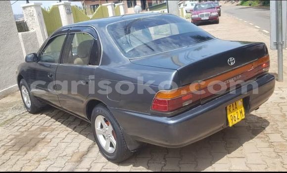 Buy Used Toyota Corolla Blue Car in Kigali in Rwanda Buy Used Toyota Corolla Blue Car in Kigali in Rwanda