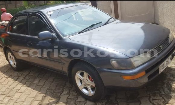 Buy Used Toyota Corolla Blue Car in Kigali in Rwanda Buy Used Toyota Corolla Blue Car in Kigali in Rwanda