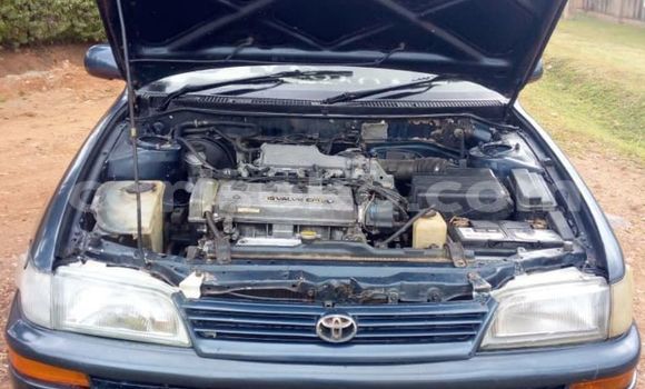 Buy Used Toyota Corolla Blue Car in Kigali in Rwanda Buy Used Toyota Corolla Blue Car in Kigali in Rwanda