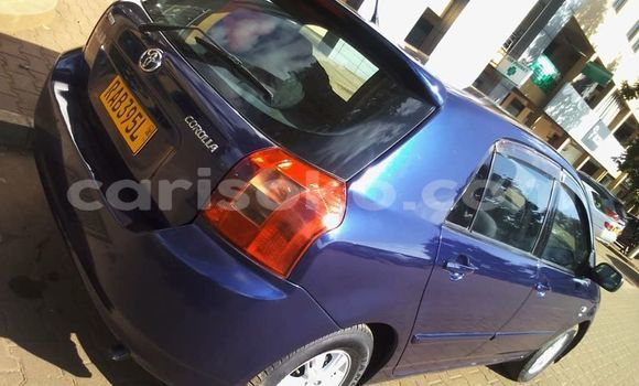 Buy Used Toyota Corolla Blue Car in Kigali in Rwanda Buy Used Toyota Corolla Blue Car in Kigali in Rwanda