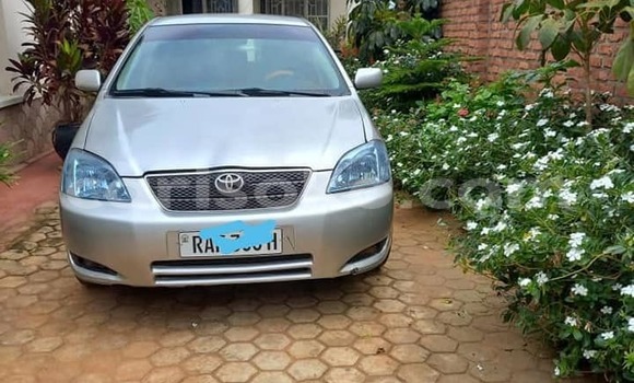 Acheter Occasion Voiture Toyota Corolla Gris à Kigali, Rwanda