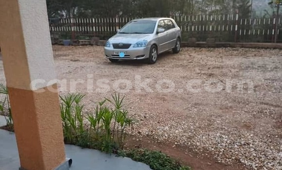 Acheter Occasion Voiture Toyota Corolla Gris à Kigali, Rwanda Acheter Occasion Voiture Toyota Corolla Gris à Kigali, Rwanda