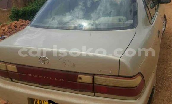 اشتري مستعمل Toyota Corolla Beige سيارة في Kigali في Rwanda اشتري مستعمل Toyota Corolla Beige سيارة في Kigali في Rwanda