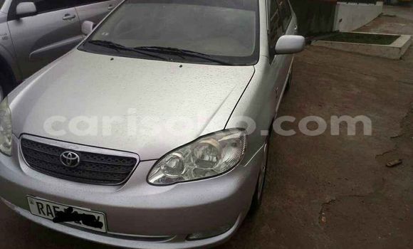 اشتري مستعمل Toyota Corolla Gris سيارة في Kigali في Rwanda اشتري مستعمل Toyota Corolla Gris سيارة في Kigali في Rwanda