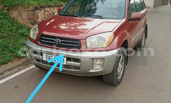 Buy Used Toyota RAV4 Red Car in Kigali in Rwanda Buy Used Toyota RAV4 Red Car in Kigali in Rwanda