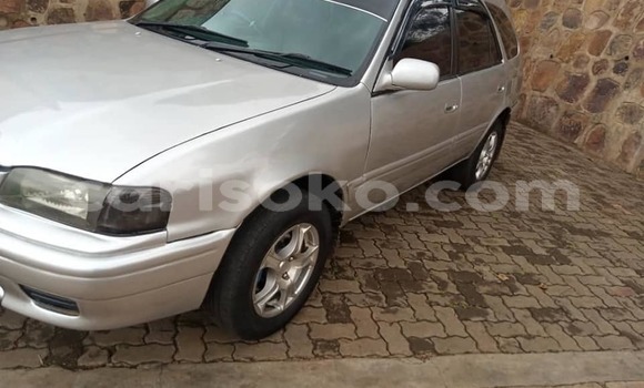 Buy Used Toyota Sprinter Carib Silver Car in Kigali in Rwanda Buy Used Toyota Sprinter Carib Silver Car in Kigali in Rwanda
