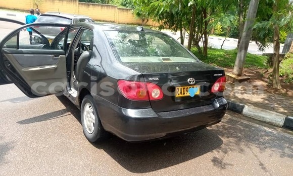 Buy Used Toyota Corolla Black Car in Kigali in Rwanda Buy Used Toyota Corolla Black Car in Kigali in Rwanda