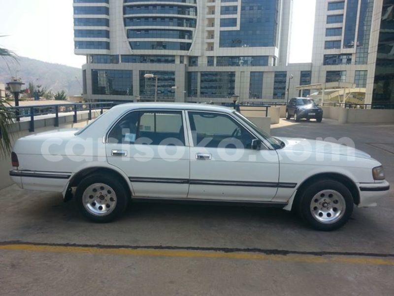 Big with watermark 14572839 1276538899057194 7605807282165903254 n