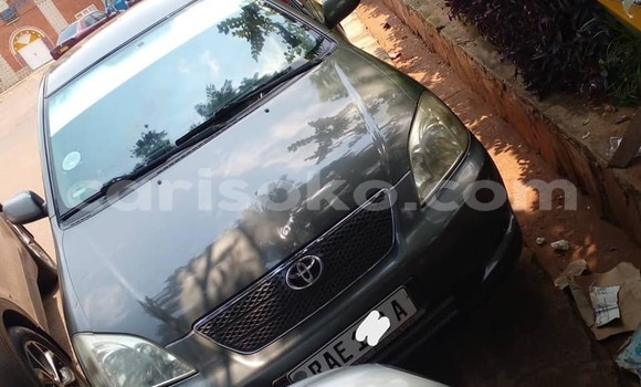 Buy Used Toyota Corolla Other Car in Kigali in Rwanda Buy Used Toyota Corolla Other Car in Kigali in Rwanda