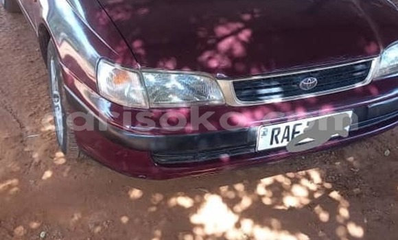 Buy Used Toyota Carina E Red Car in Kigali in Rwanda Buy Used Toyota Carina E Red Car in Kigali in Rwanda