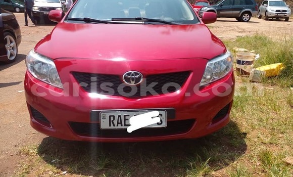 Buy Used Toyota Corolla Red Car in Kigali in Rwanda Buy Used Toyota Corolla Red Car in Kigali in Rwanda