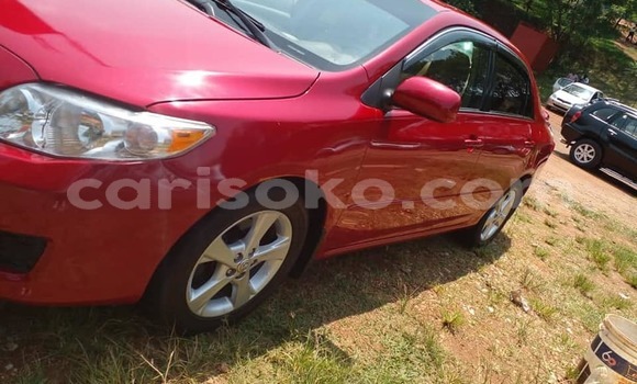 Buy Used Toyota Corolla Red Car in Kigali in Rwanda Buy Used Toyota Corolla Red Car in Kigali in Rwanda