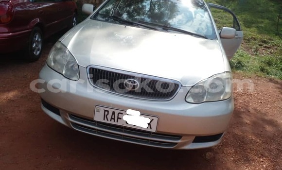 Buy Used Toyota Corolla Silver Car in Kigali in Rwanda Buy Used Toyota Corolla Silver Car in Kigali in Rwanda