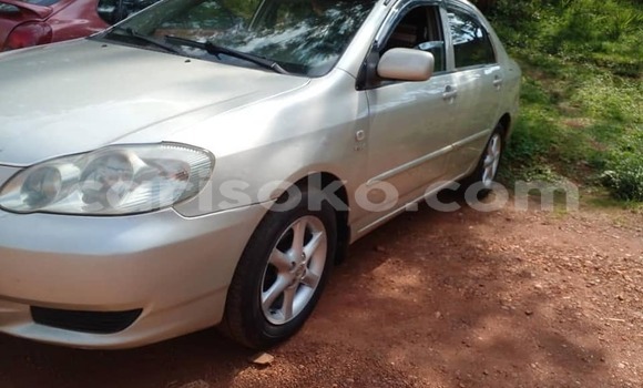 Buy Used Toyota Corolla Silver Car in Kigali in Rwanda Buy Used Toyota Corolla Silver Car in Kigali in Rwanda