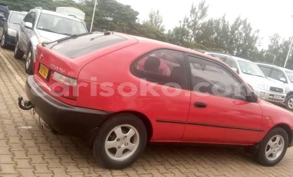 Buy Used Toyota Corolla Red Car in Kigali in Rwanda Buy Used Toyota Corolla Red Car in Kigali in Rwanda