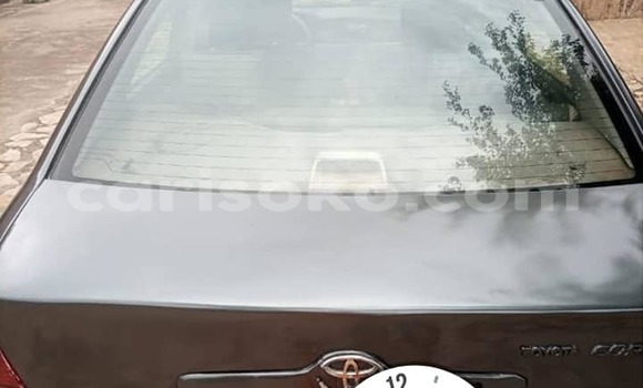 Buy Used Toyota Corolla Other Car in Kigali in Rwanda Buy Used Toyota Corolla Other Car in Kigali in Rwanda