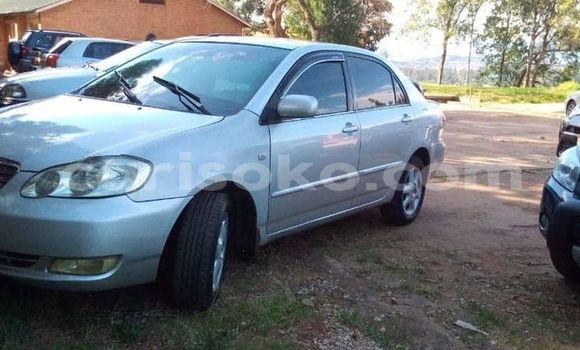 Buy Used Toyota Corolla Silver Car in Kigali in Rwanda Buy Used Toyota Corolla Silver Car in Kigali in Rwanda