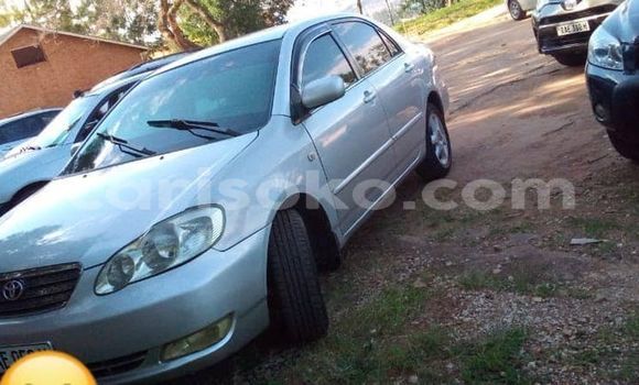 Buy Used Toyota Corolla Silver Car in Kigali in Rwanda Buy Used Toyota Corolla Silver Car in Kigali in Rwanda