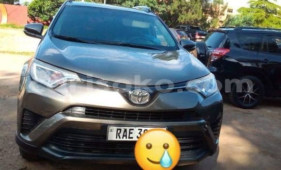 Buy Used Toyota RAV4 Other Car in Kigali in Rwanda Buy Used Toyota RAV4 Other Car in Kigali in Rwanda