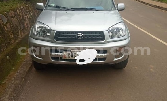 Buy Used Toyota RAV4 Silver Car in Kigali in Rwanda Buy Used Toyota RAV4 Silver Car in Kigali in Rwanda