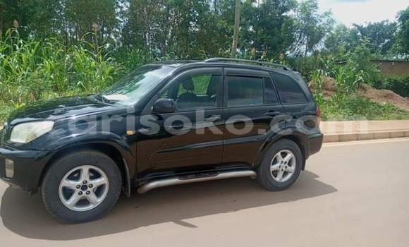 Buy Used Toyota RAV4 Black Car in Kigali in Rwanda Buy Used Toyota RAV4 Black Car in Kigali in Rwanda