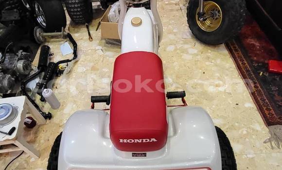 Sayi Sabo Adler 1902 Blanc Motsi in Gisenyi a Gisenyi Sayi Sabo Adler 1902 Blanc Motsi in Gisenyi a Gisenyi