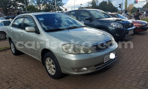 Acheter Occasion Voiture Toyota Corolla Gris à Kigali, Rwanda Acheter Occasion Voiture Toyota Corolla Gris à Kigali, Rwanda