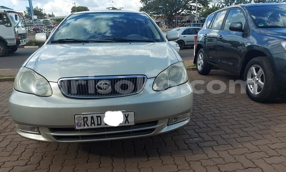 Acheter Occasion Voiture Toyota Corolla Gris à Kigali, Rwanda Acheter Occasion Voiture Toyota Corolla Gris à Kigali, Rwanda
