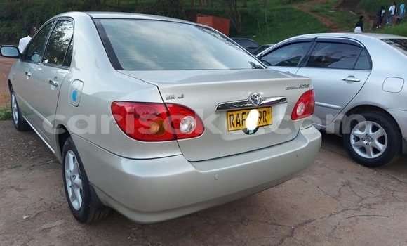Acheter Occasion Voiture Toyota Corolla Gris à Kigali, Rwanda Acheter Occasion Voiture Toyota Corolla Gris à Kigali, Rwanda