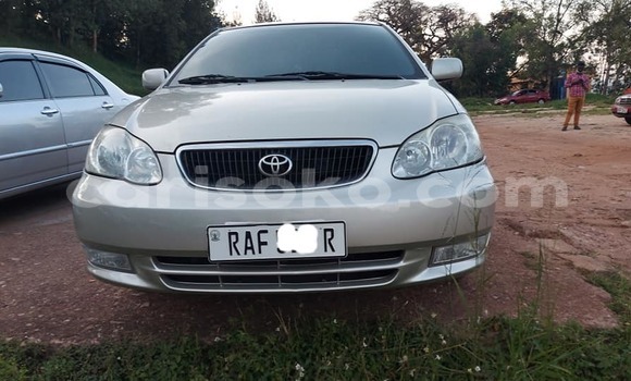 Acheter Occasion Voiture Toyota Corolla Gris à Kigali, Rwanda Acheter Occasion Voiture Toyota Corolla Gris à Kigali, Rwanda