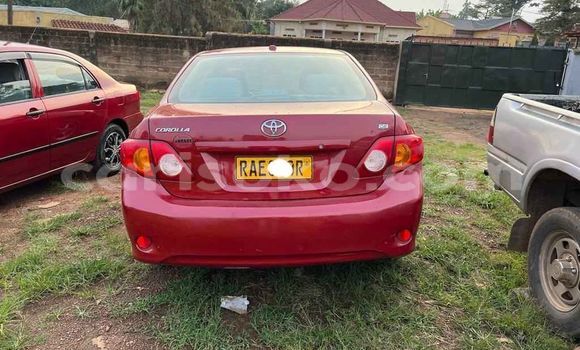 Acheter Occasion Voiture Toyota Corolla Rouge à Kigali, Rwanda Acheter Occasion Voiture Toyota Corolla Rouge à Kigali, Rwanda