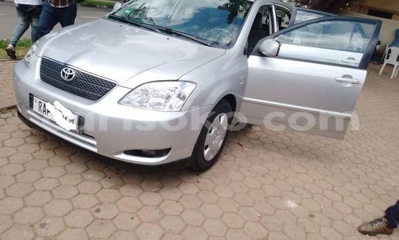 Buy Used Toyota Corolla Silver Car in Kigali in Rwanda Buy Used Toyota Corolla Silver Car in Kigali in Rwanda
