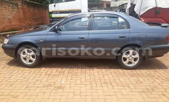Buy Used Toyota Carina E Blue Car in Kigali in Rwanda Buy Used Toyota Carina E Blue Car in Kigali in Rwanda