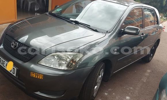 Buy Used Toyota Corolla Other Car in Kigali in Rwanda Buy Used Toyota Corolla Other Car in Kigali in Rwanda
