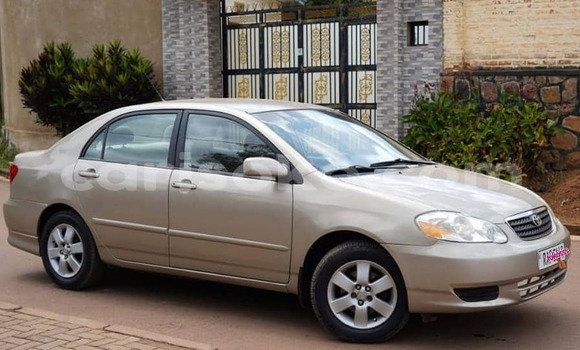 Buy Used Toyota Corolla Brown Car in Kigali in Rwanda Buy Used Toyota Corolla Brown Car in Kigali in Rwanda