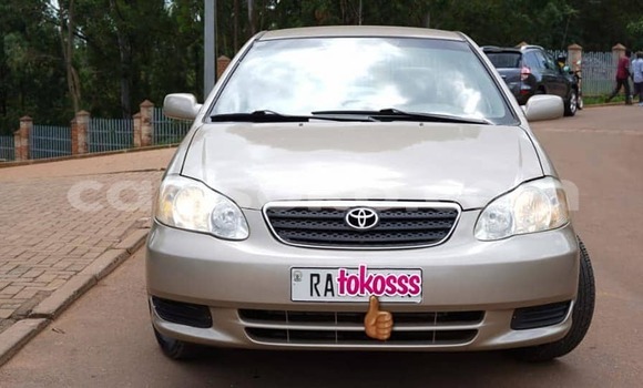 Buy Used Toyota Corolla Brown Car in Kigali in Rwanda Buy Used Toyota Corolla Brown Car in Kigali in Rwanda