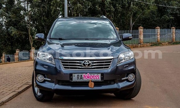 Buy Used Toyota RAV4 Blue Car in Kigali in Rwanda Buy Used Toyota RAV4 Blue Car in Kigali in Rwanda