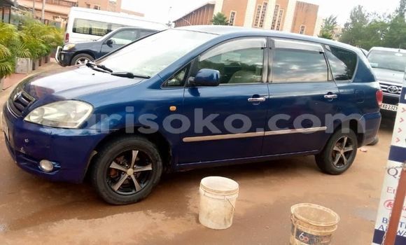 Acheter Occasion Voiture Toyota Ipsum Bleu à Kigali, Rwanda Acheter Occasion Voiture Toyota Ipsum Bleu à Kigali, Rwanda