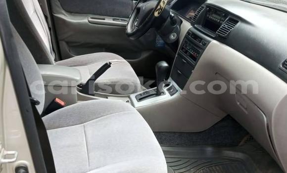Acheter Occasion Voiture Toyota Corolla Gris à Kigali, Rwanda Acheter Occasion Voiture Toyota Corolla Gris à Kigali, Rwanda