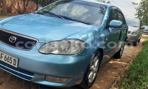 Acheter Occasion Voiture Toyota Corolla Bleu à Kigali, Rwanda Acheter Occasion Voiture Toyota Corolla Bleu à Kigali, Rwanda