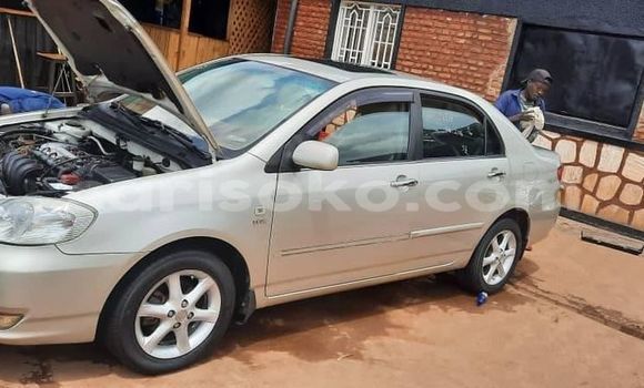 Acheter Occasion Voiture Toyota Corolla Gris à Kigali, Rwanda Acheter Occasion Voiture Toyota Corolla Gris à Kigali, Rwanda