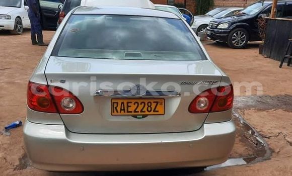 Acheter Occasion Voiture Toyota Corolla Gris à Kigali, Rwanda Acheter Occasion Voiture Toyota Corolla Gris à Kigali, Rwanda