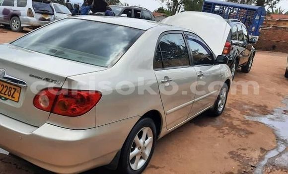 Acheter Occasion Voiture Toyota Corolla Gris à Kigali, Rwanda Acheter Occasion Voiture Toyota Corolla Gris à Kigali, Rwanda