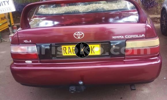 Acheter Occasion Voiture Toyota Corolla Rouge à Kigali, Rwanda Acheter Occasion Voiture Toyota Corolla Rouge à Kigali, Rwanda