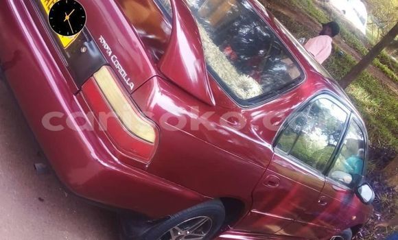 Acheter Occasion Voiture Toyota Corolla Rouge à Kigali, Rwanda Acheter Occasion Voiture Toyota Corolla Rouge à Kigali, Rwanda